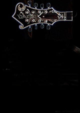 mandolin