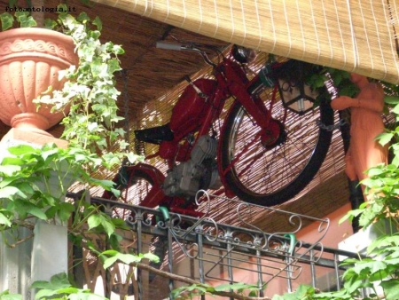guzzino