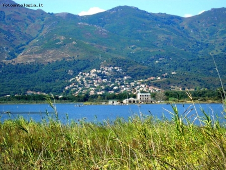 Biguglia e lo stagno