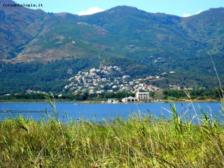 Biguglia e lo stagno