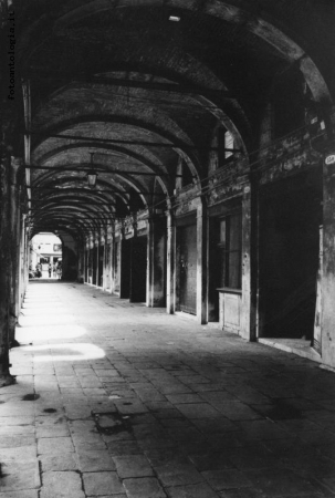 venezia gotica