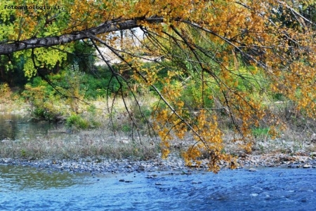 colori d'autunno