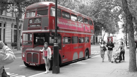 Red bus