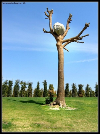 Giardini della Reggia di Venaria Reale