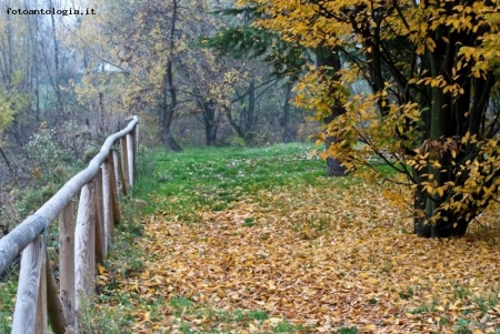 colori d'autunno