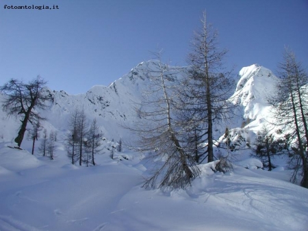 Sci alpinismo