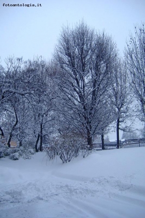 E siamo solamente al primo giorno di neve