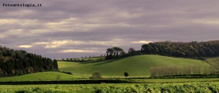 La campagna toscana