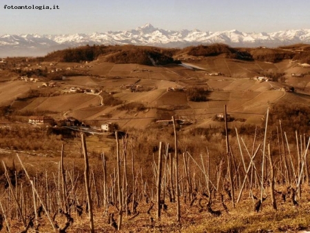 terra di langa in inverno