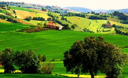 Colline 3