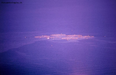 Castellammare del Golfo - La tonnara