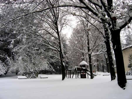 Parco innevato