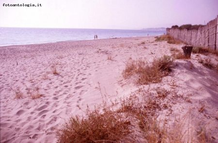 Spiaggia presso la riserva