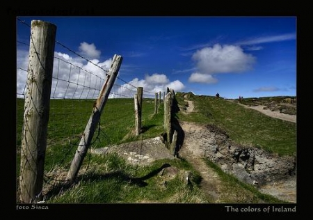 The colors of Ireland