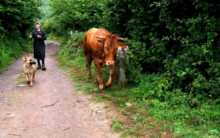 Passeggiata