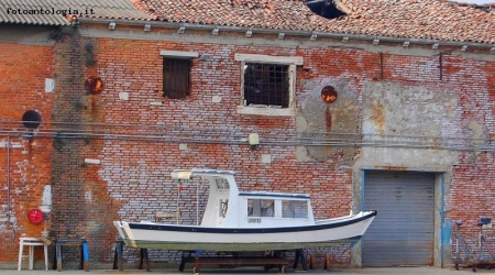 chioggia