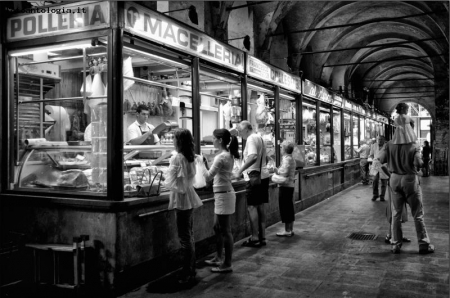 Padova- Sotto il Salone