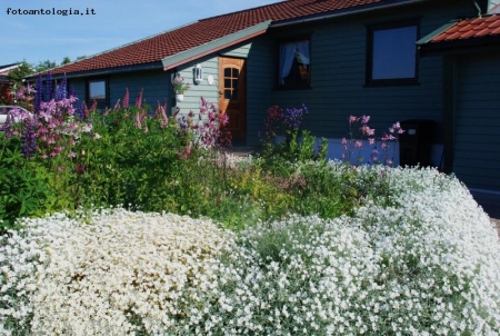 la primavera in Norvegia