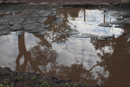 Acqua di Cielo