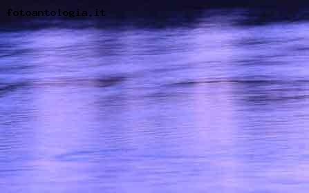 il fiume va...