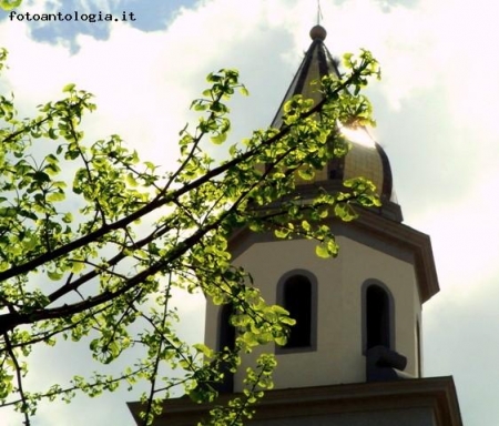 Primavera e campanile.