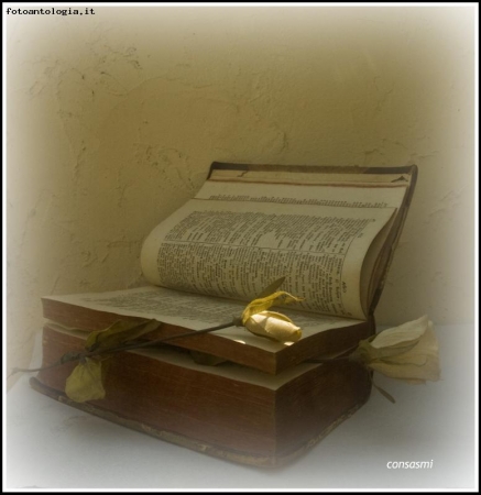 natura morta: libro con fiori