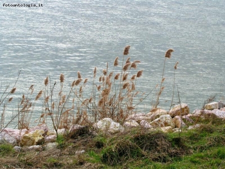Accarezzati dal vento