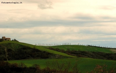 Paesaggio senese