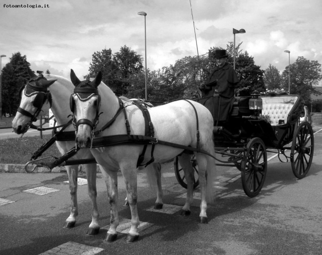 Brianza in carrozza