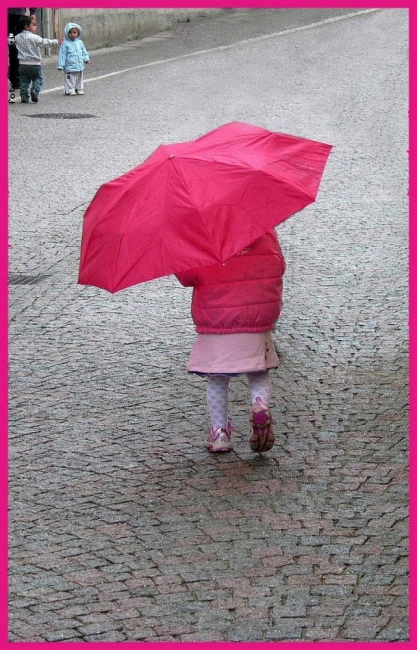 La vie en rose...