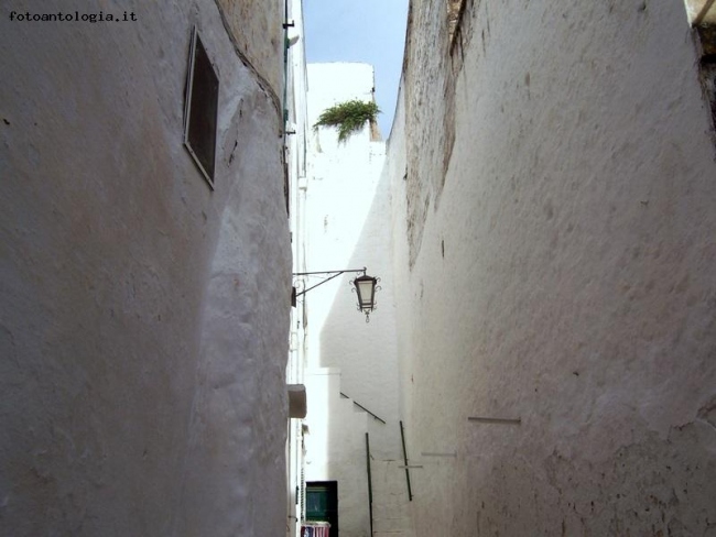 Ostuni