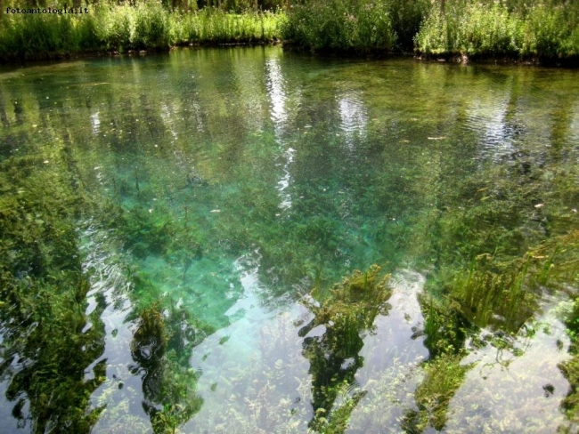 I colori del verde