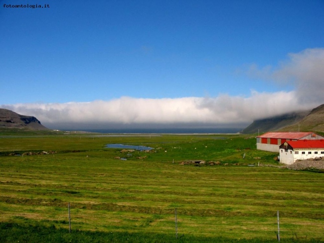 Islanda....fattoria