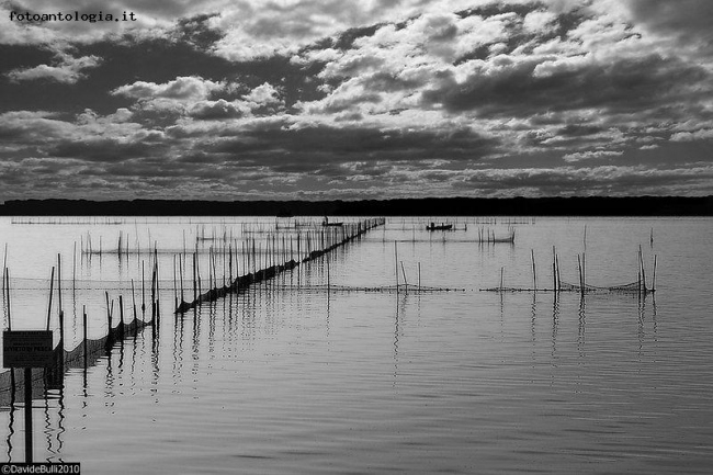 La laguna di orbetello