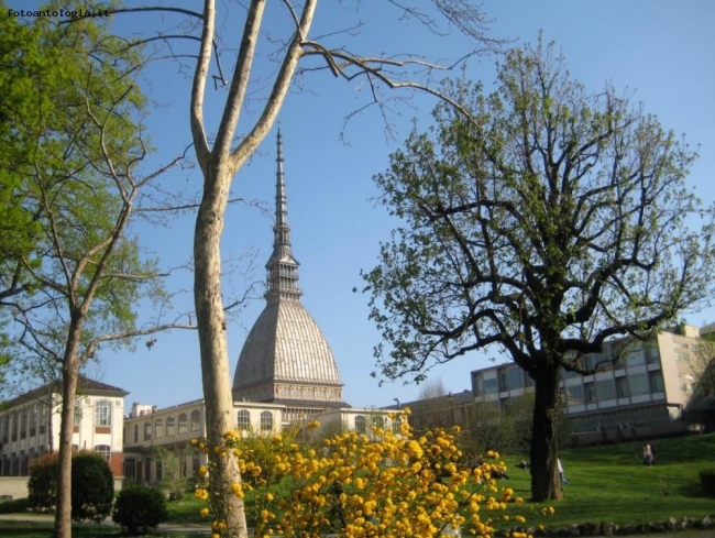 Giardini Reali a primavera