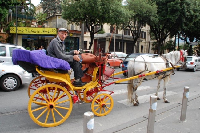 Carrozza