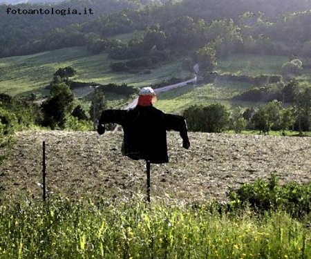 IL GUARDIANO