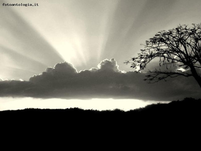 tramonto Cubano II