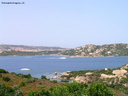 vicino capo d'orso