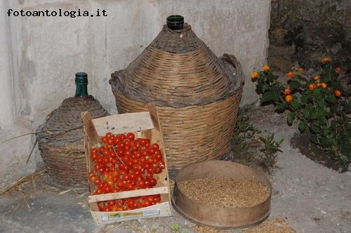 prodotti della terra