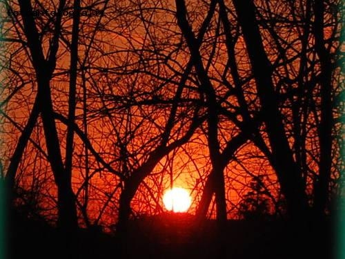 tramonto dietro casa