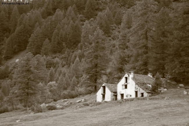 Alpe Devero (seppiata)