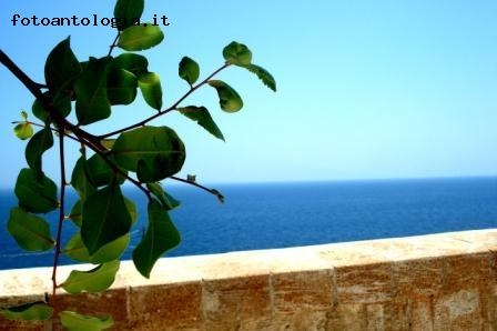 Photo3