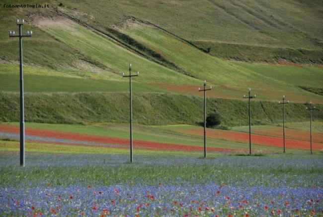 colori dell'estate