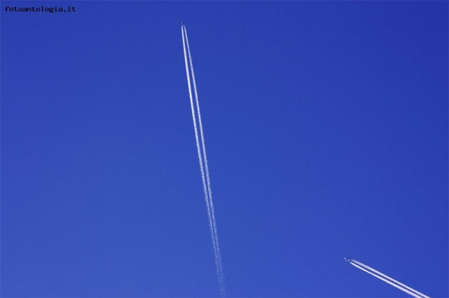 Scie