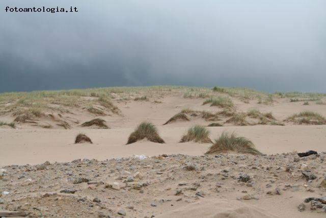 Piccole dune