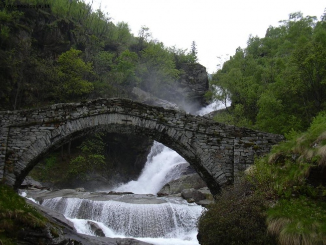 Trail Bridge