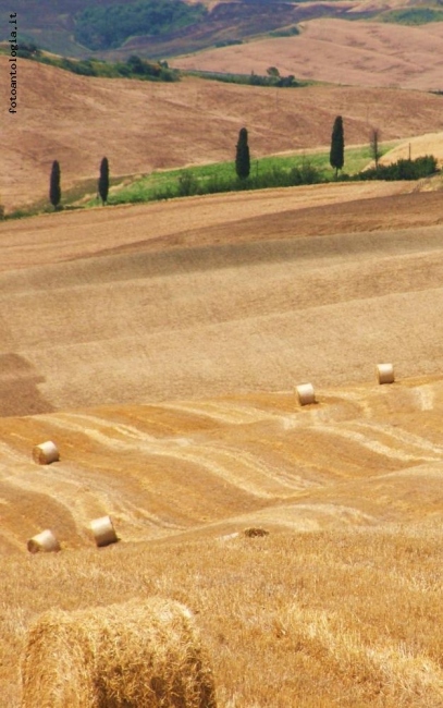 terre di siena