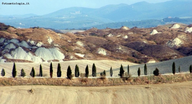 crete senesi