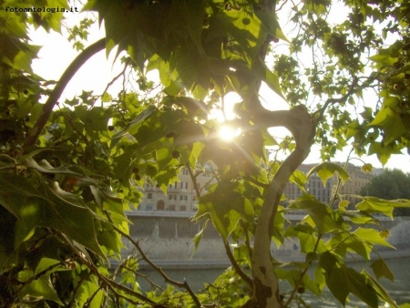 lungotevere
